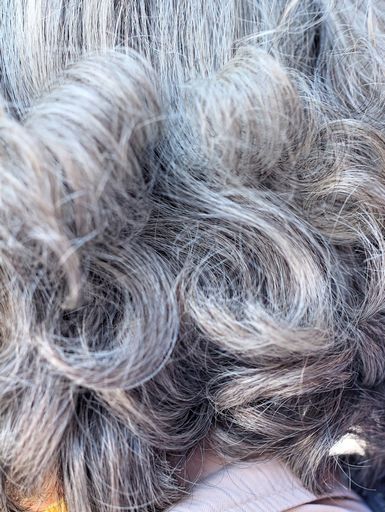 sivi lasje